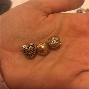 Pandora Rose Charm Set